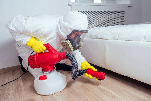 Reliable Glendale, WI Pest Control Solutions